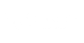 12 el costeno