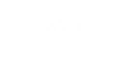 13 Armazen
