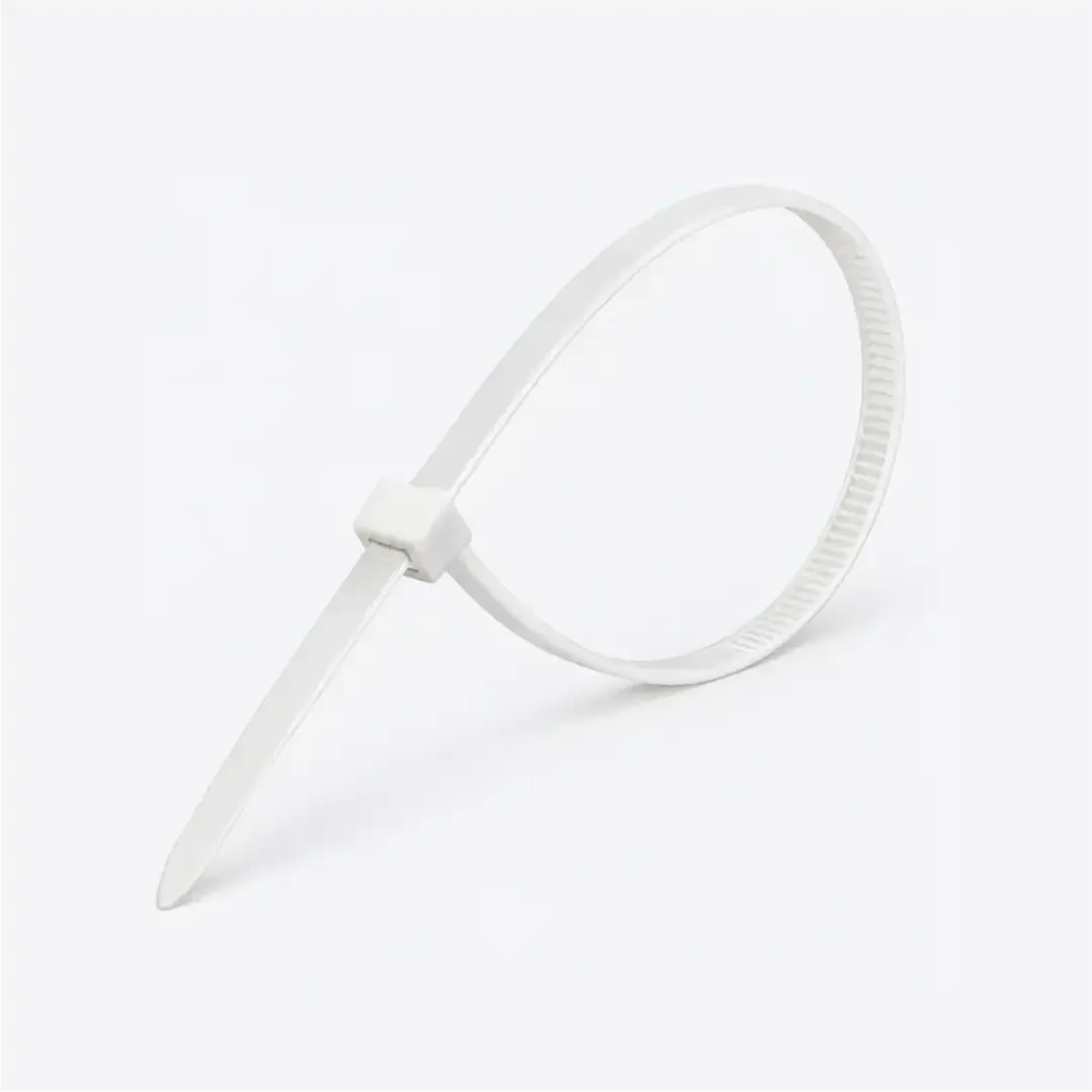 ABRACADEIRA PLASTICA 10CM BRANCA 100 X 2.5 EOS 11073 EMB C/100